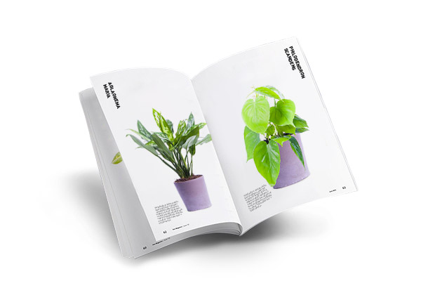 Plant catalogue