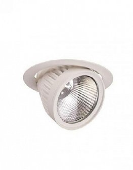 LED downlight VEWI 1030 (white, silver, black) 29W