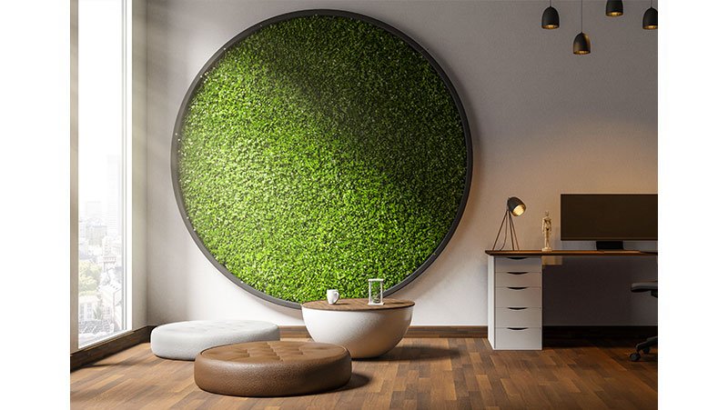 Moss 1 Moss 1